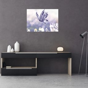 Obraz - Motyl i lawenda (70x50 cm)