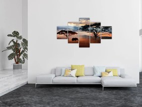 Obraz - Park Narodowy Serengeti, Tanzania, Afryka (125x70 cm)