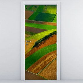 Fototapeta na drzwi - Pole (95x205cm)