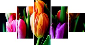 Obraz tulipanów na czarnym tle (125x70 cm)