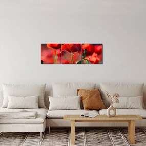 Obraz - maki (z zegarem) (90x30 cm)