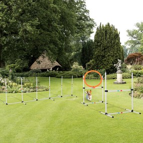 PawHut Zestaw do Ćwiczeń dla Psów 3-częściowy z Torbą do Przenoszenia Trening Agility Plastik Biały Żółty | Aosom PL