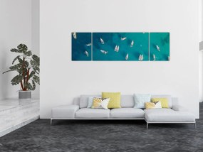 Obraz - Żaglówki (170x50 cm)