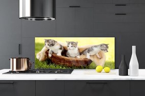 Panel Szklany Koty Zwierzęta
