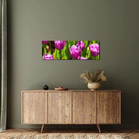 Obraz tulipanów na łące (z zegarem) (90x30 cm)
