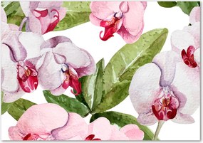 Obraz zdjęcie szkło akryl Różowe orchidee
