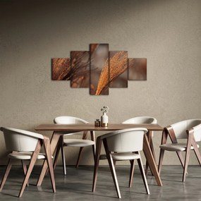 Obraz - Kortaderia (125x70 cm)