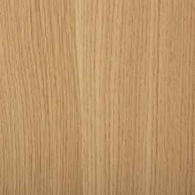 Niski stolik kawowy prostokątny TASSO, 100 x 50 x 40 cm