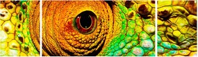 Obraz - Kameleon (170x50 cm)