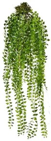 Sztuczna roślina Columnea wisząca, 48 cm, zielona