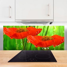 Szkło Ozdobne do Kuchni Klasyczne Maki W Rozkwicie