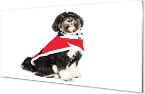 Szkło Ozdobne do Kuchni Portret Spokojnego Psa