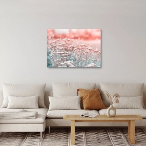 Obraz - Kwiaty polne (70x50 cm)