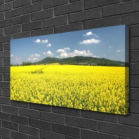 Obraz canvas Złociste Pole Rzepaku