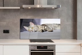 Szkło do Kuchni na Ścianę Leniwe Popołudnie na Kanapie