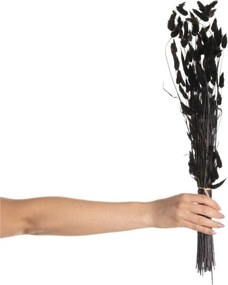 Bukiet Dmuszka 60cm dark brown