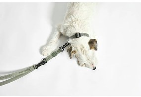 Ciemnoszara obroża w rozmiarze S/M długość 32 cm Modena Asphalt S/SM – MiaCara