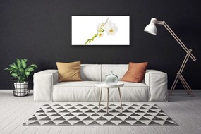 Obraz canvas Pełnia Kwiatowego Rozkwitu