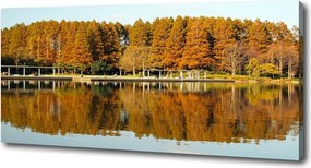Foto obraz na płótnie Las nad jeziorem