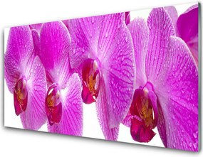 Panel Kuchenny Botaniczny Ogród Kwiatowy