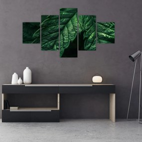 Obraz - Szczegół arkusza (125x70 cm)