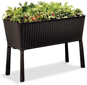Doniczka Easy Grow – Keter