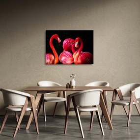 Obraz na szkle - czerwone flamingi (70x50 cm)