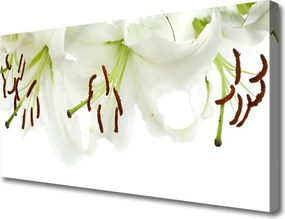 Fotoobraz na płótnie Kompozycja Florystyczna