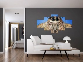 Obraz szczegółu pająka (125x70 cm)