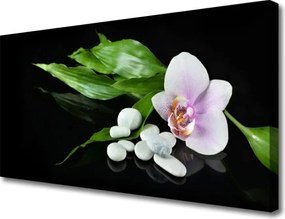 Obraz canvas na ścianę Kompozycja Spa i Natury