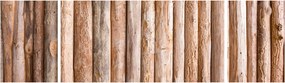 Obraz - Bambus (170x50 cm)