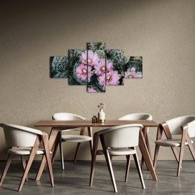 Obraz kwiatu kaktusa (125x70 cm)