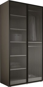 Szafa: Szary platynowy / Szkło ryflowane, 100 x 200 x 51 cm