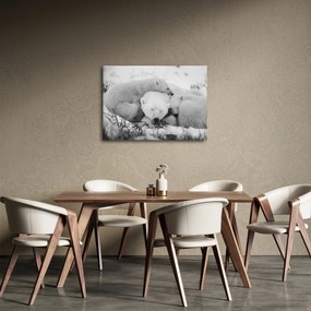 Obraz - Niedźwiedzie polarne (70x50 cm)