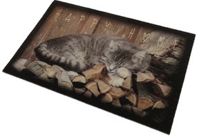 Wycieraczka Deco Star Kociak  Happy Home 40 cm x 60 cm