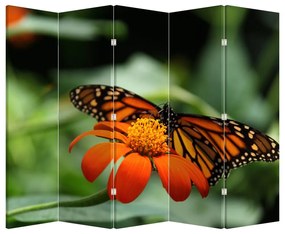 Parawan - Motyl na kwiatku (210x170 cm)