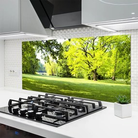 Panel Szklany Parkowa Aleja w Słońcu