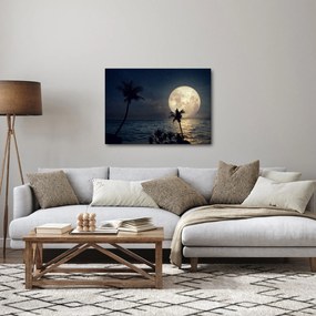 Obraz - Plaża pod pełnią księżyca (70x50 cm)