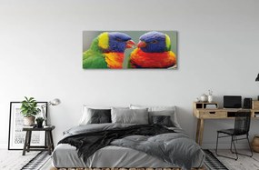 Fotoobraz na płótnie Feeria Barw: Papugi