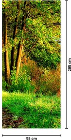 Fototapeta na drzwi - Ścieżka wzdłuż wody (95x205cm)