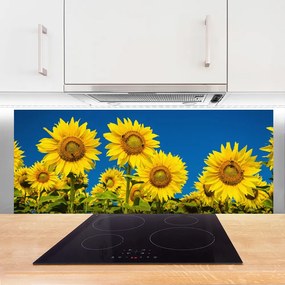 Szkło do Kuchni na Ścianę Radosne Pole Słoneczników