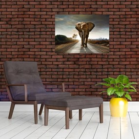 Obraz na szkle słonia (70x50 cm)