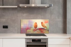 Panel szklany do Kuchni Rodzina Kolorowych Papug