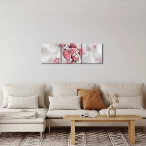 Obraz - Mrożone owoce (z zegarem) (90x30 cm)