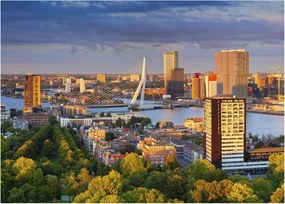 Obraz na szkle - Panorama Rotterdamu, Holandia (70x50 cm)