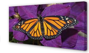 Duży obraz na płótnie Kwiaty i Kolorowy Motyl