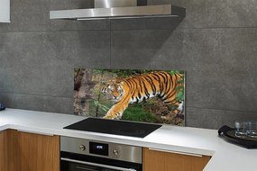 Panel szklany do Kuchni Tygrys wśród Leśnej Roślinności