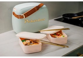 Szarozielony pojemnik chłodzący 6 l Classic Gold – Polarbox