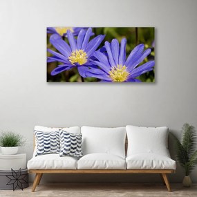 Duży obraz na płótnie Botaniczna Elegancja