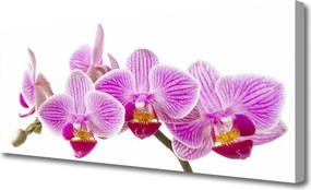 Obraz canvas Wyrafinowany Bukiet Roślinny